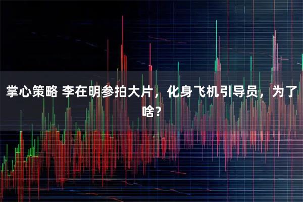 掌心策略 李在明参拍大片，化身飞机引导员，为了啥？