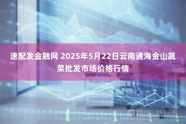 速配发金融网 2025年5月22日云南通海金山蔬菜批发市场价格行情