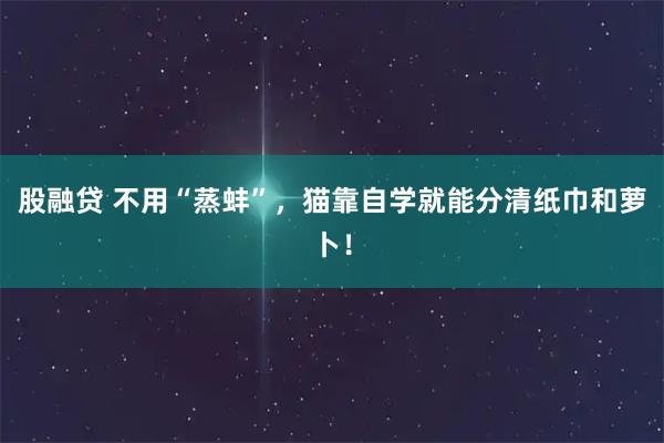 股融贷 不用“蒸蚌”，猫靠自学就能分清纸巾和萝卜！