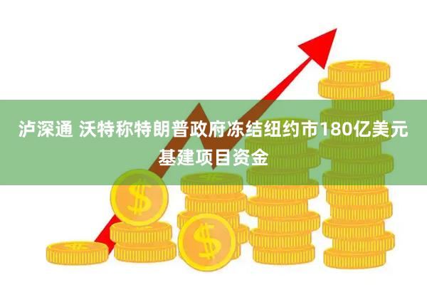 泸深通 沃特称特朗普政府冻结纽约市180亿美元基建项目资金